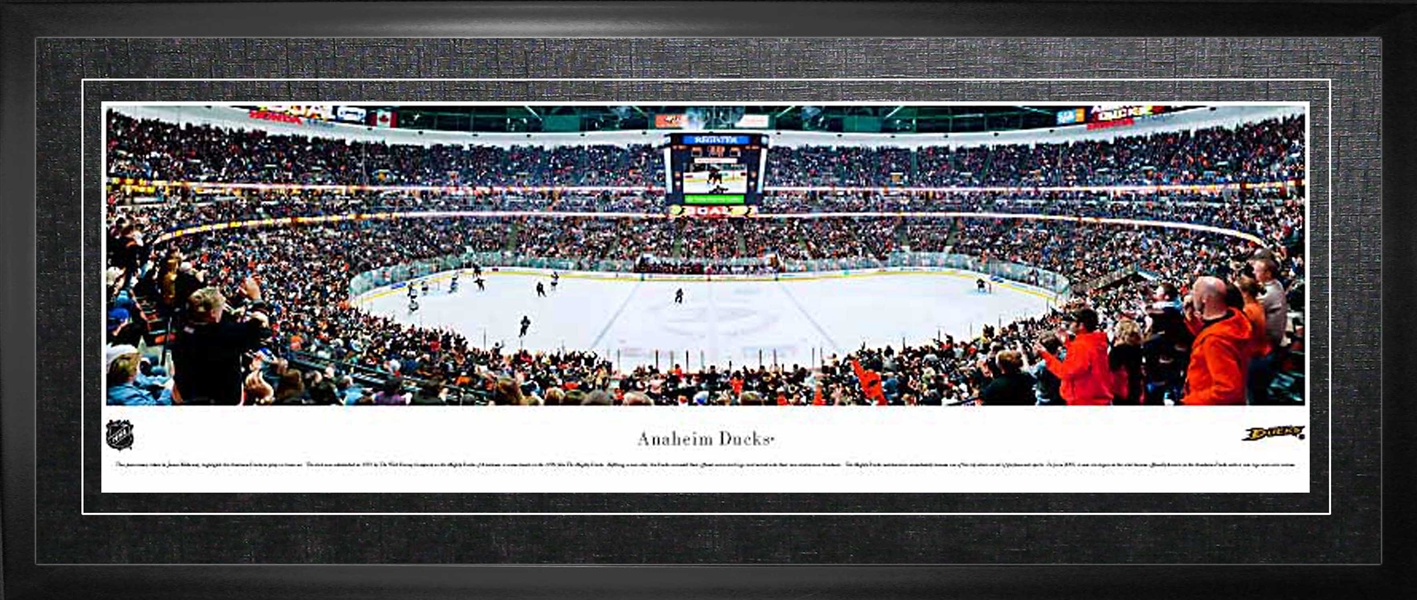 Anaheim Ducks Framed Panorama Arena
