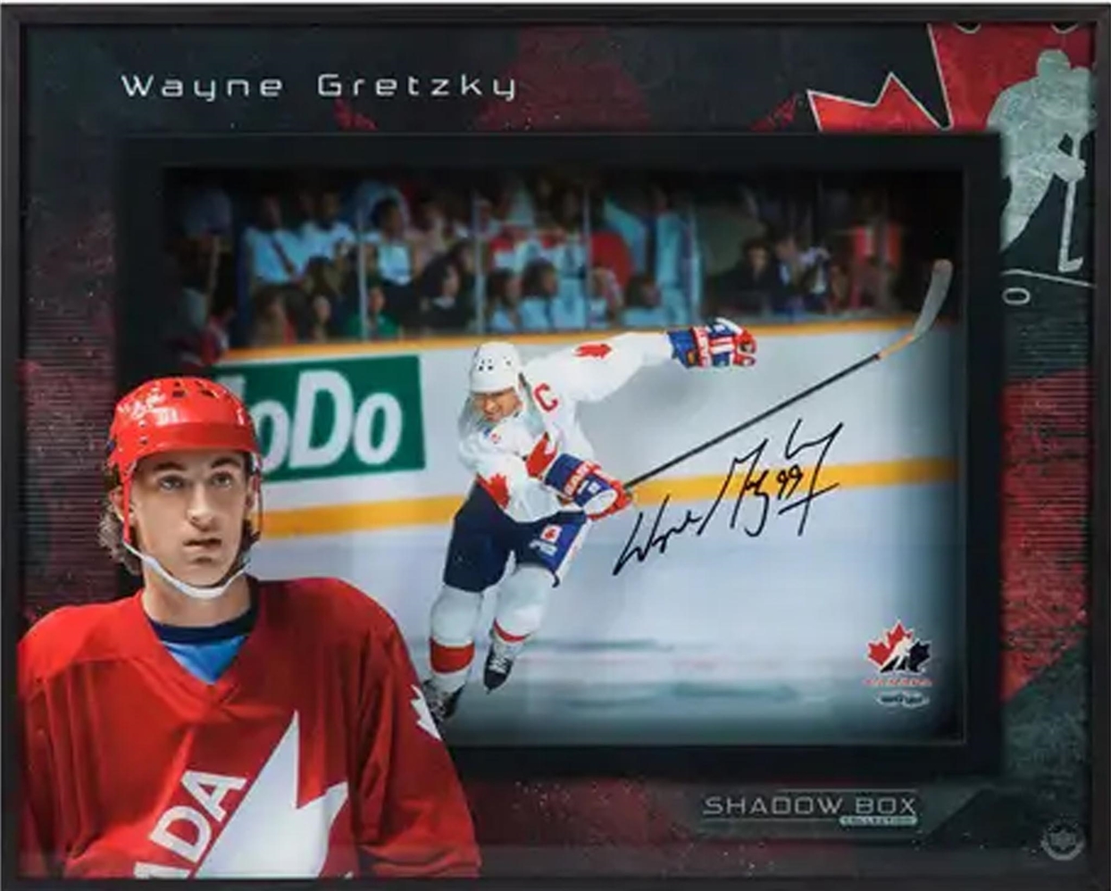 Wayne Gretzky Signed 16x20 Framed Center Ice Shadowbox Team Canada
